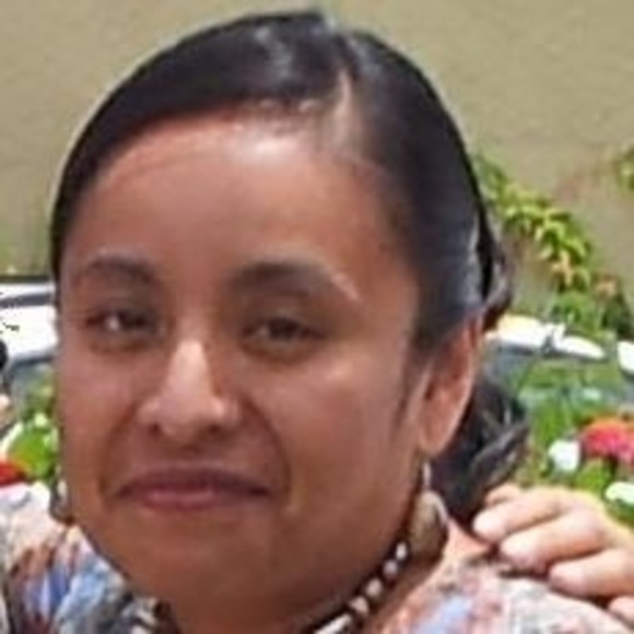 cisnebordados1